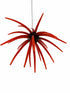Red Starburst